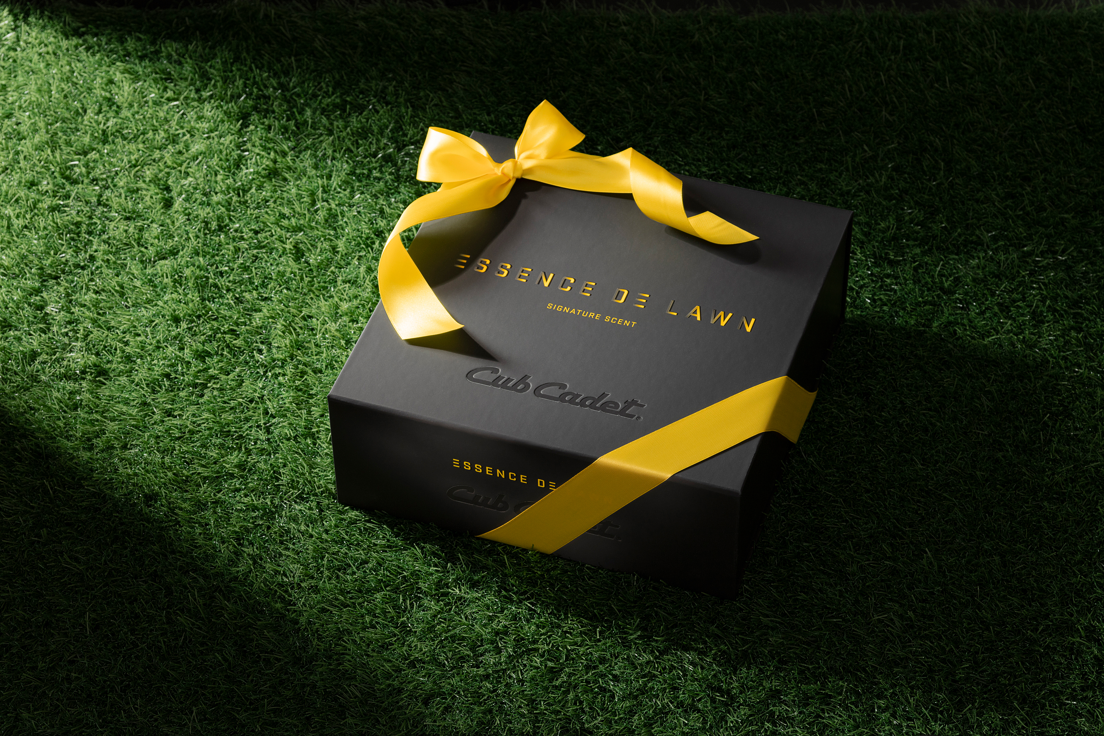 Shot 06 0782 HR rt2 HR 3840x2560