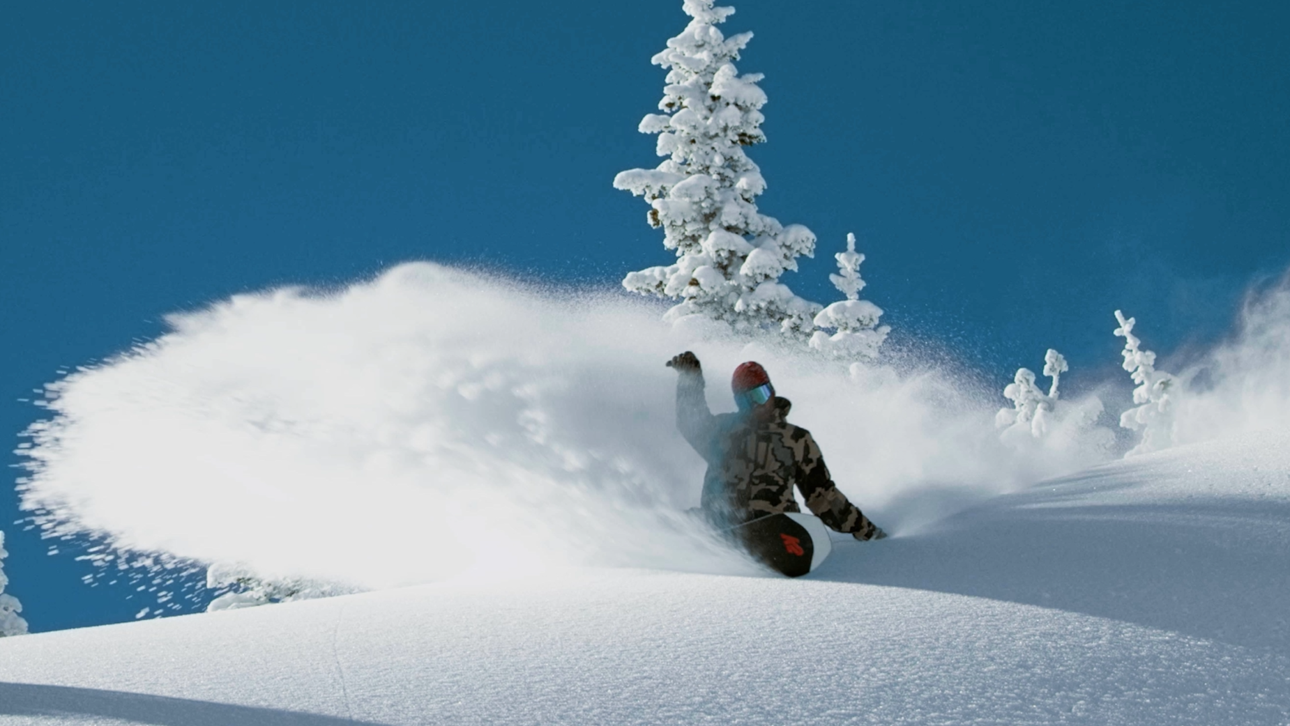 Jackson Hole F Hgl Q1 Bi