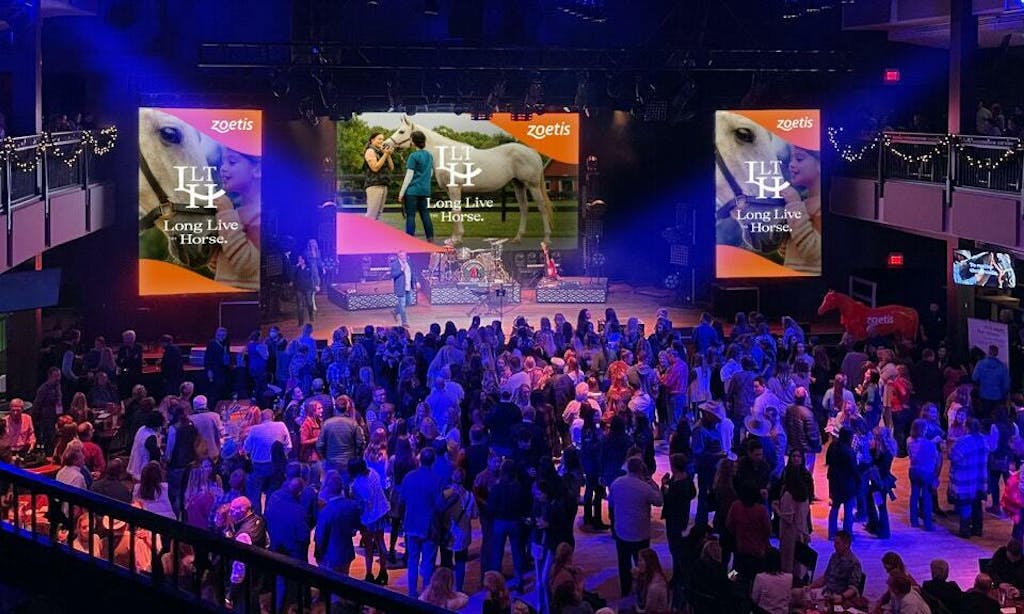 CM Zoetis Work Detail Experiential 04 AAEP Party 2048x1152