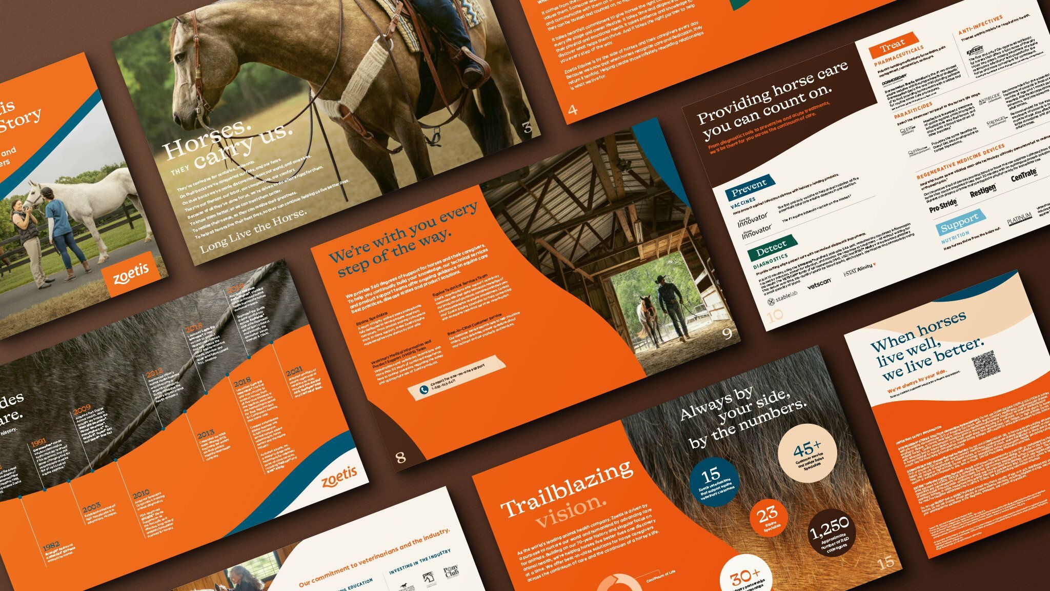 CM Zoetis Work Detail Print Cross Portfolio Detailer Mockup 2048x1152 v1